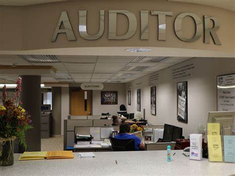 Auditor